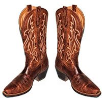 Botas vaqueras